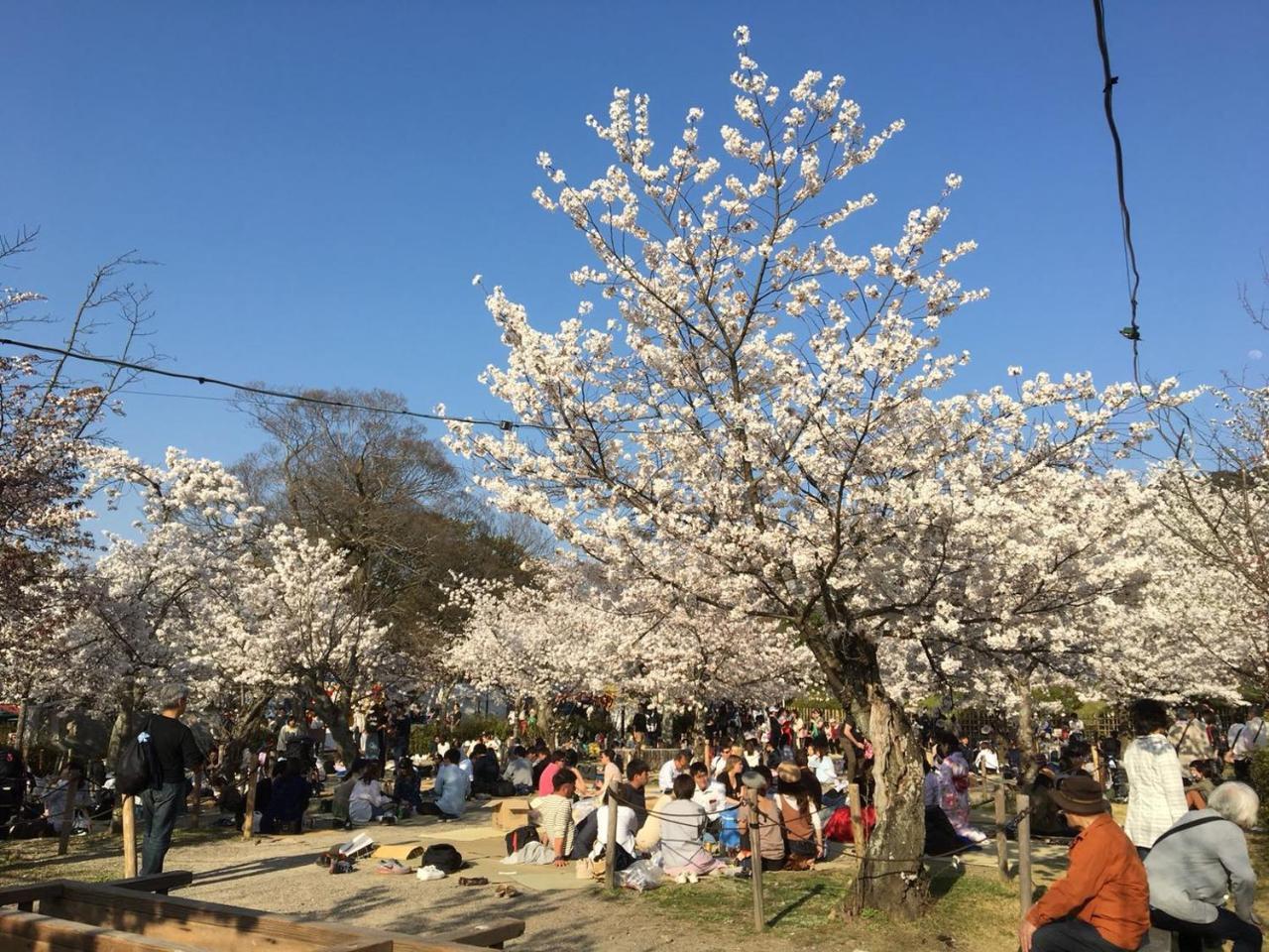 美築八坂 Apartment Kyoto Ngoại thất bức ảnh